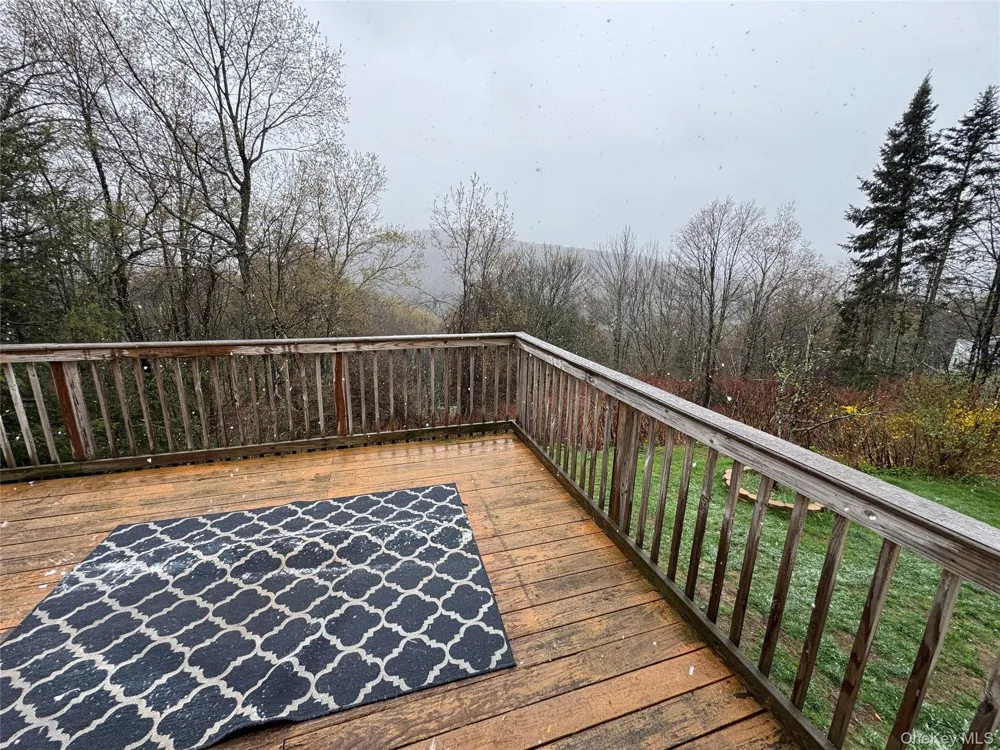 96 White Roe Lake Road Livingston Manor, NY 12758