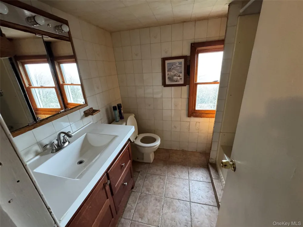 96 White Roe Lake Road Livingston Manor, NY 12758