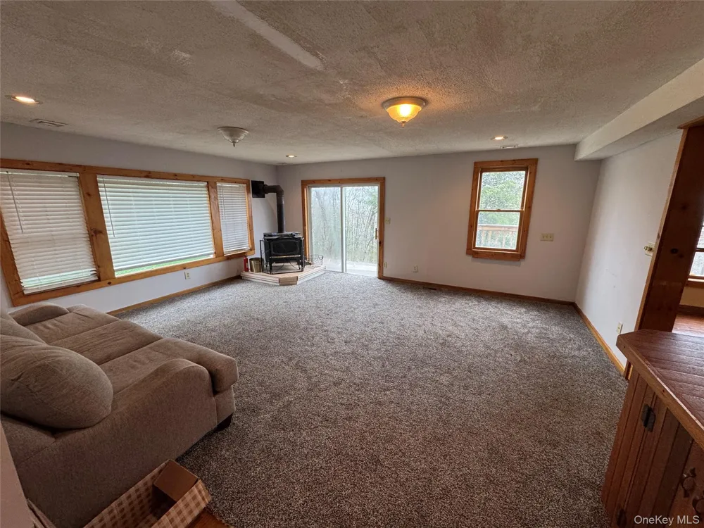 96 White Roe Lake Road Livingston Manor, NY 12758