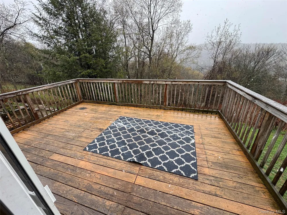 96 White Roe Lake Road Livingston Manor, NY 12758