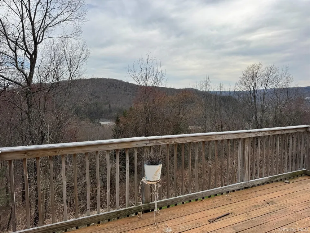 96 White Roe Lake Road Livingston Manor, NY 12758