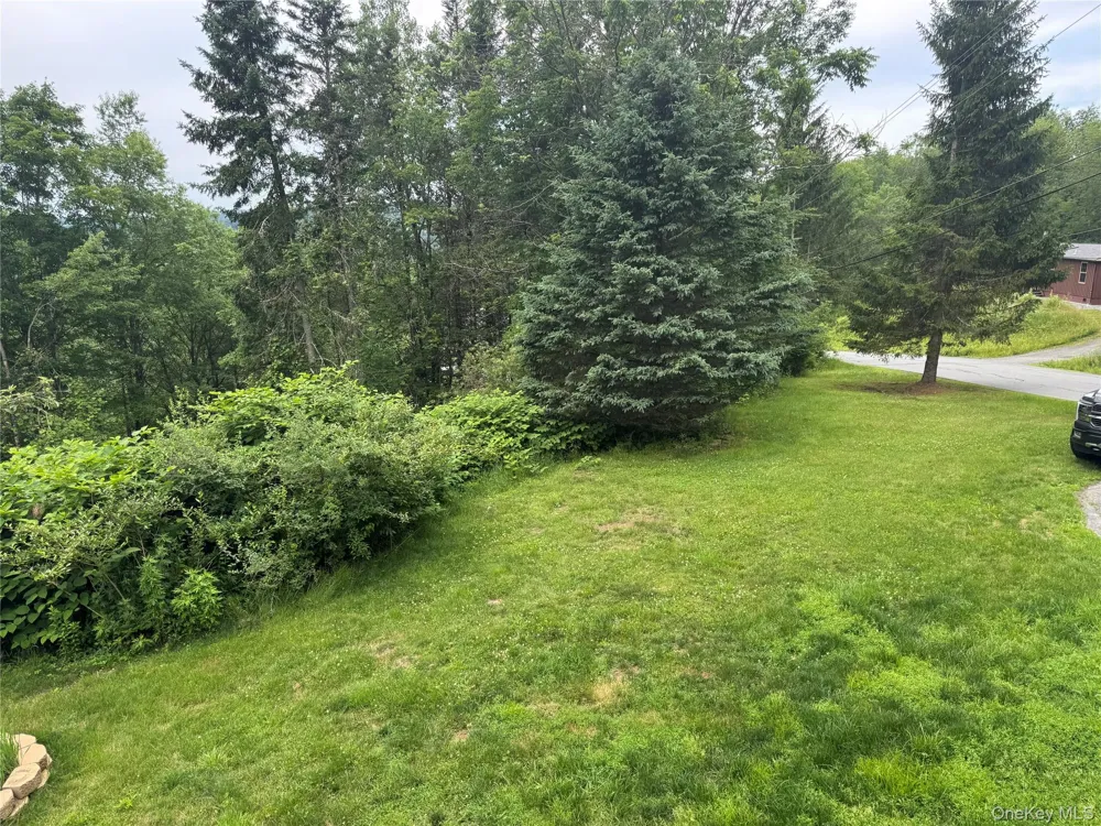 96 White Roe Lake Road Livingston Manor, NY 12758