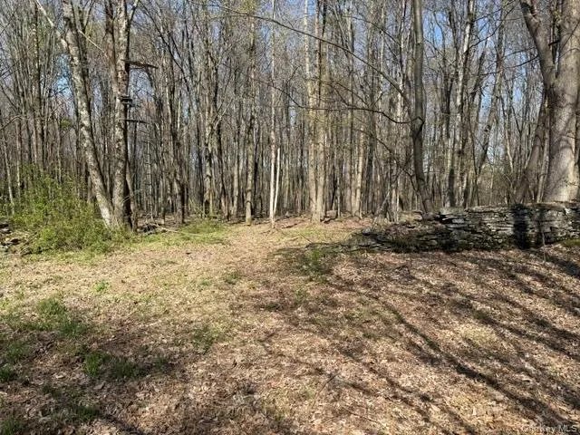 CHAFFEE Liberty, NY 12754