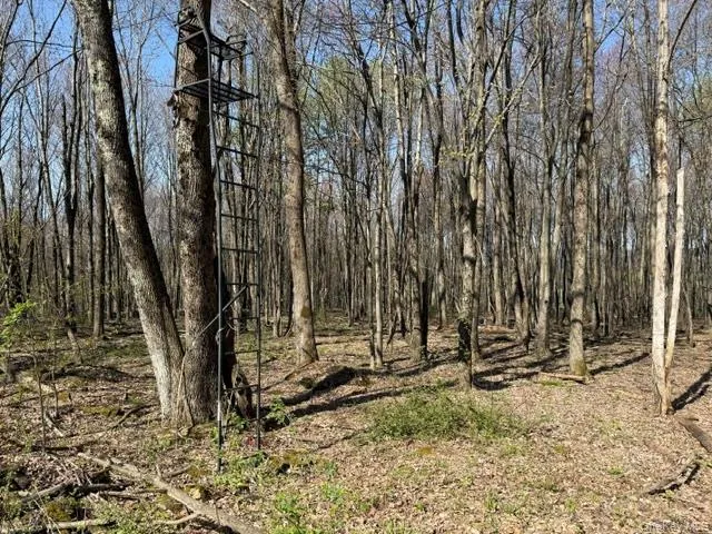 CHAFFEE Liberty, NY 12754