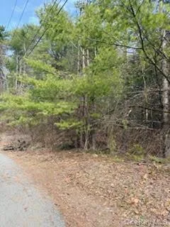 1304 Us Route 209