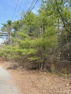 1304 Us Route 209 Cuddebackville, NY 12729
