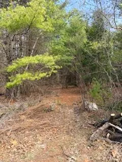 1304 Us Route 209 Cuddebackville, NY 12729