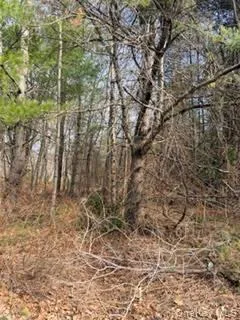 1304 Us Route 209 Cuddebackville, NY 12729