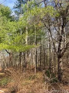 1304 Us Route 209 Cuddebackville, NY 12729