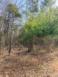 1304 Us Route 209 Cuddebackville, NY 12729