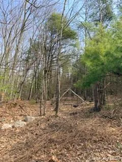 1304 Us Route 209 Cuddebackville, NY 12729