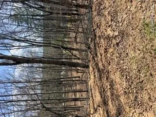 14 Old Country Road