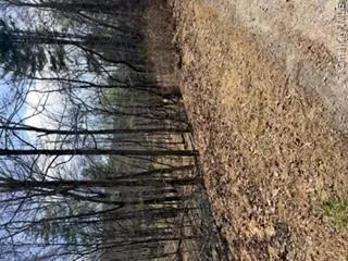 14 Old Country Road Sparrowbush, NY 12780