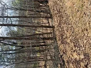 14 Old Country Road Sparrowbush, NY 12780
