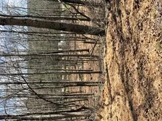 14 Old Country Road Sparrowbush, NY 12780