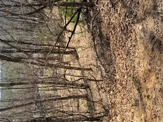 14 Old Country Road Sparrowbush, NY 12780