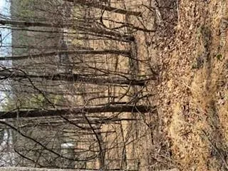 14 Old Country Road Sparrowbush, NY 12780