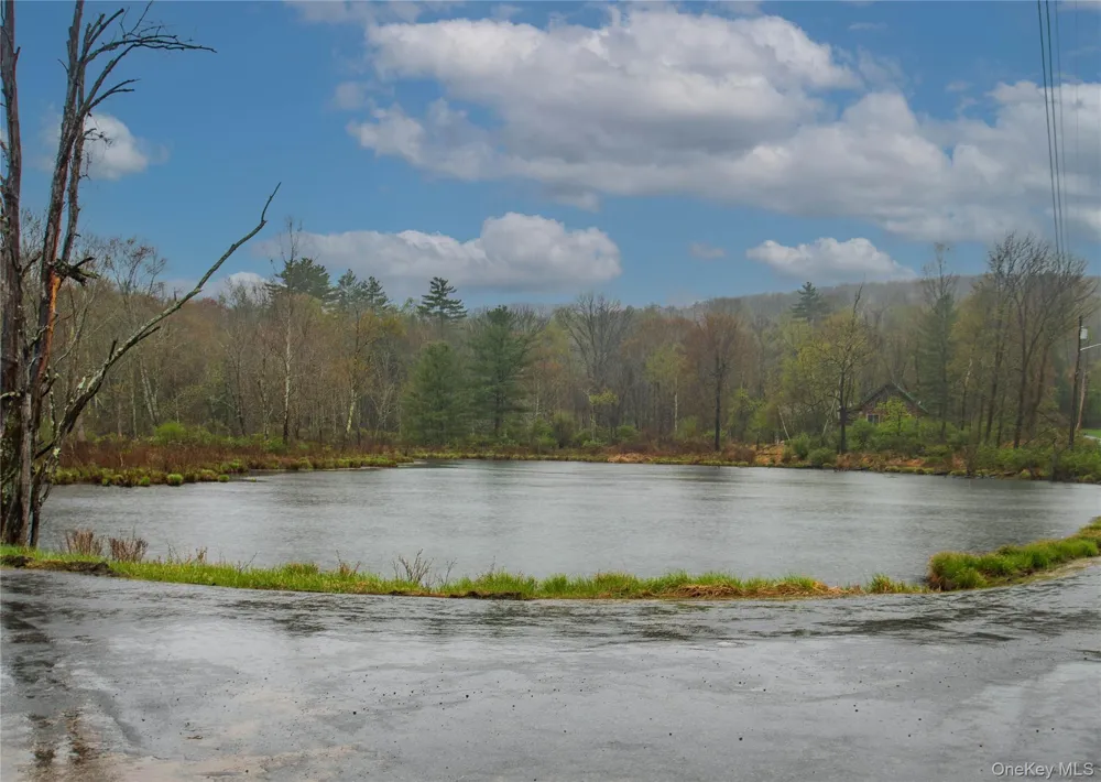 62 Thornton Road Phillipsport, NY 12769