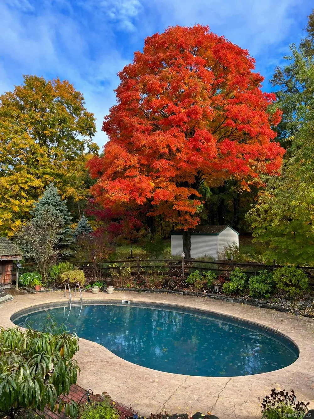 93 Horton Road Washingtonville, NY 10992