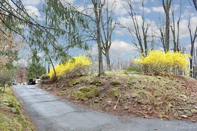 161 McNamara Road Spring Valley, NY 10977