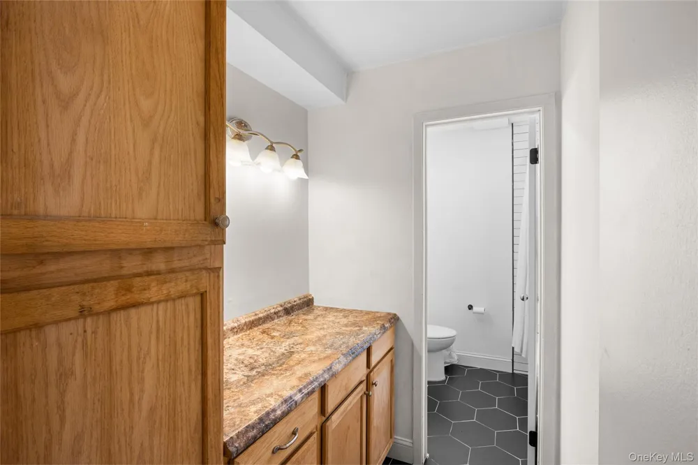 271 Lake Pointe Circle #271 Middle Island, NY 11953