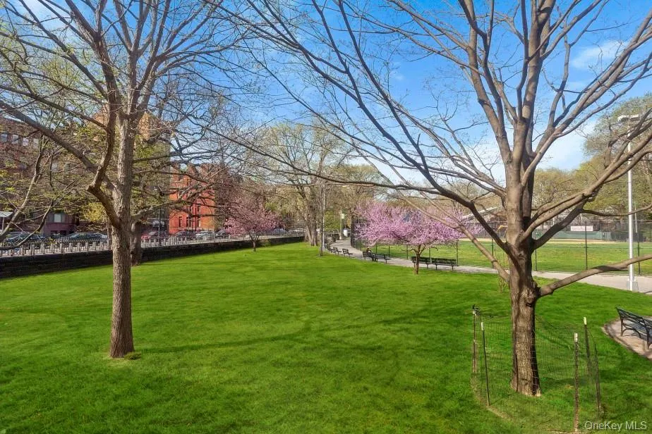 1919 Madison Avenue #202 New York (Manhattan), NY 10035