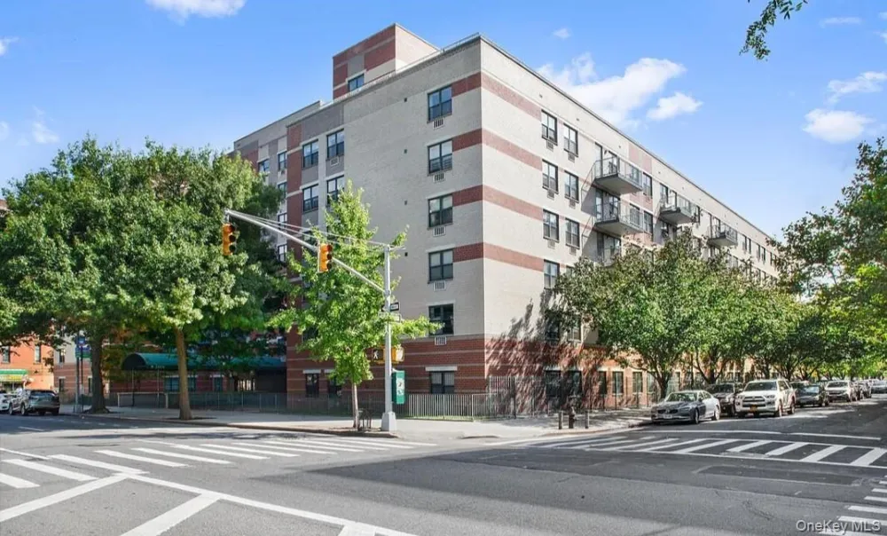 1919 Madison Avenue #202 New York (Manhattan), NY 10035