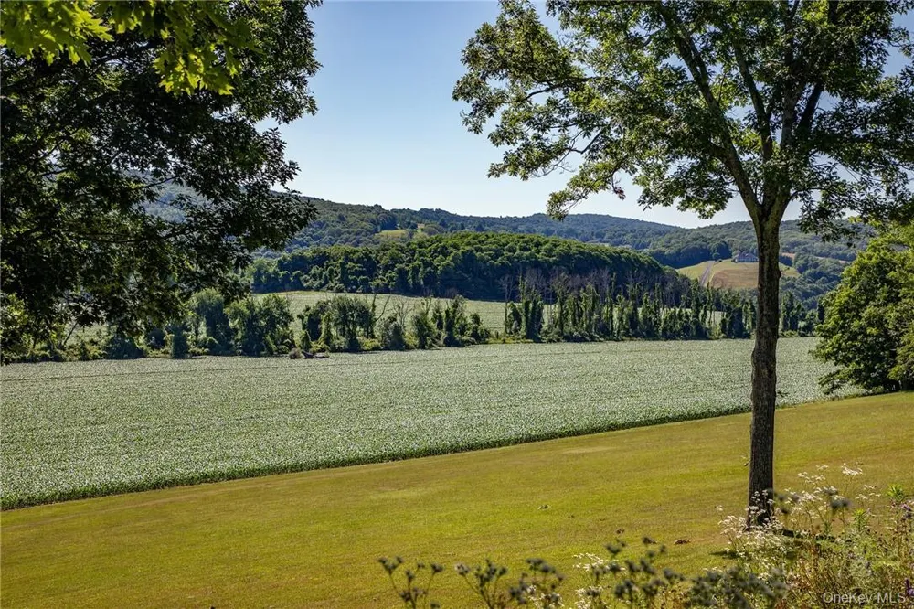 617 BEAN RIVER ROAD Pine Plains, NY 12567