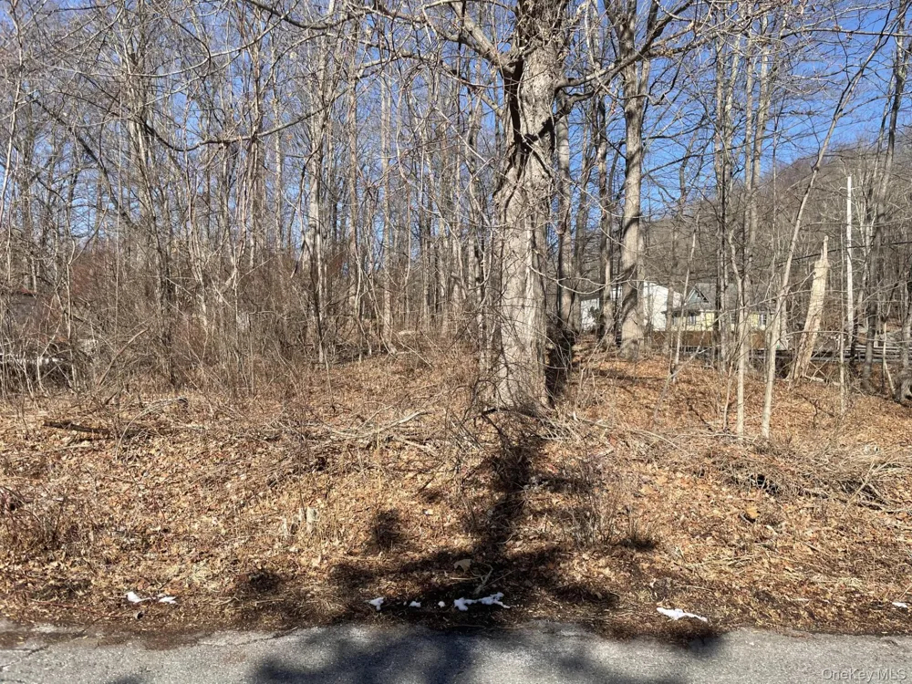 Route 52 Carmel, NY 10512