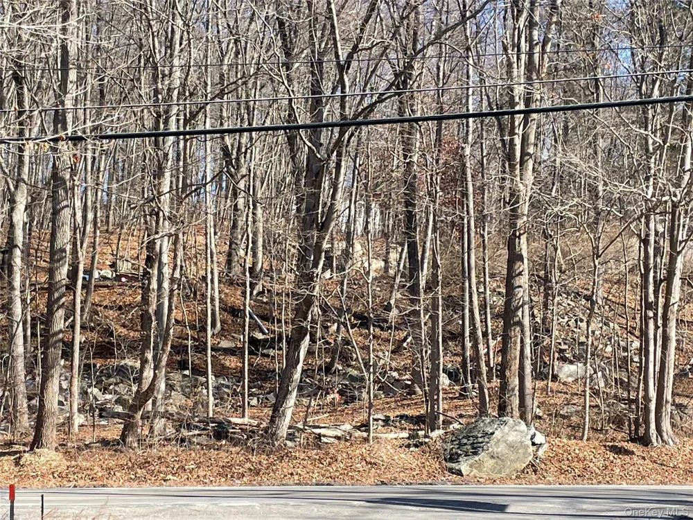 Route 52 Carmel, NY 10512