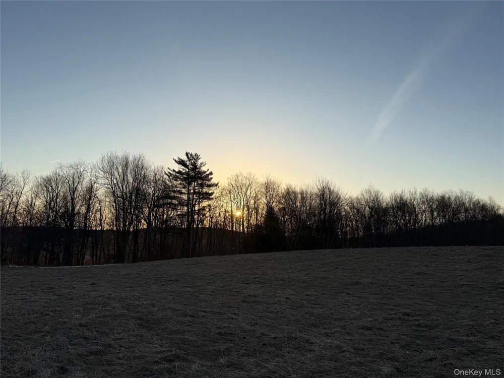 TBD Snake Hill Road Walton, NY 13775
