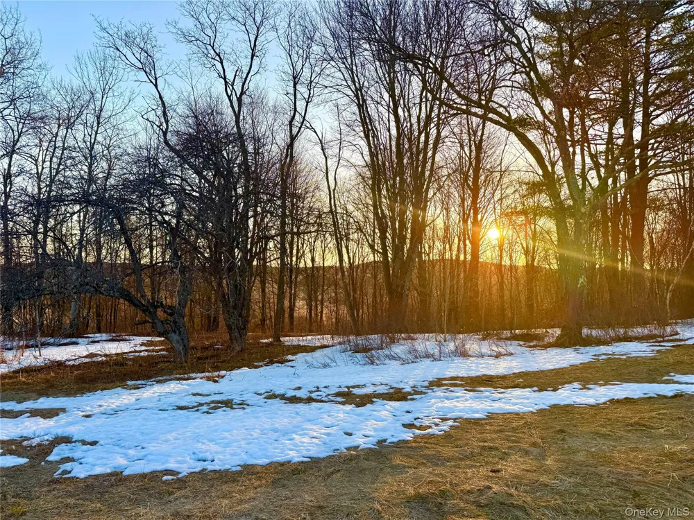 TBD Snake Hill Road Walton, NY 13775