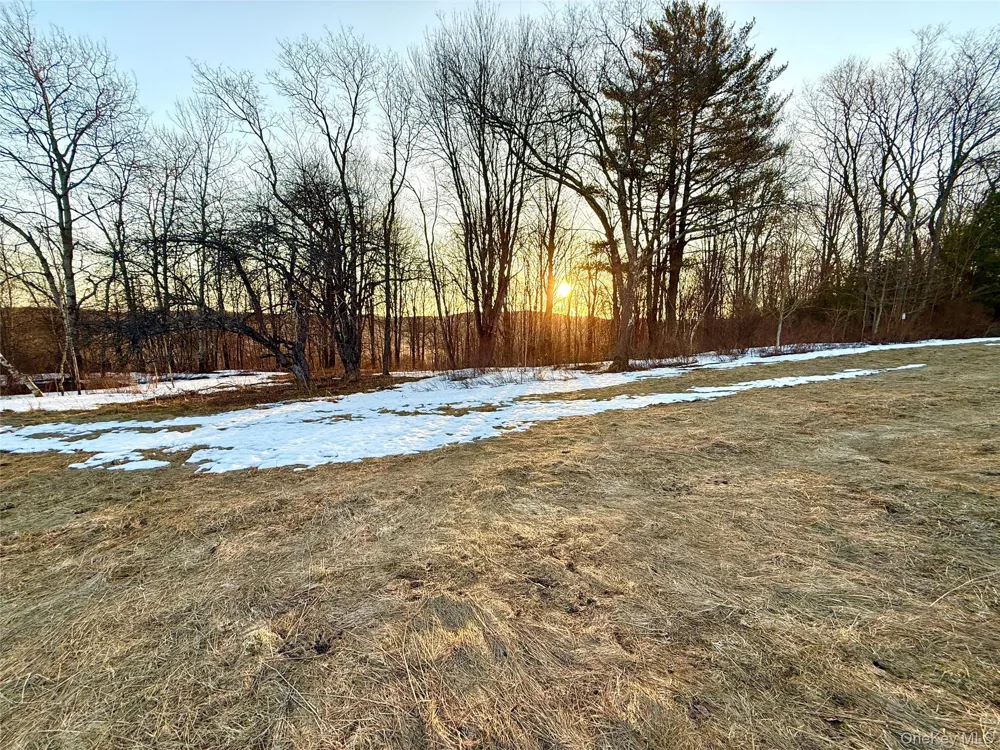 TBD Snake Hill Road Walton, NY 13775
