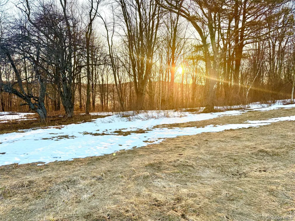TBD Snake Hill Road Walton, NY 13775