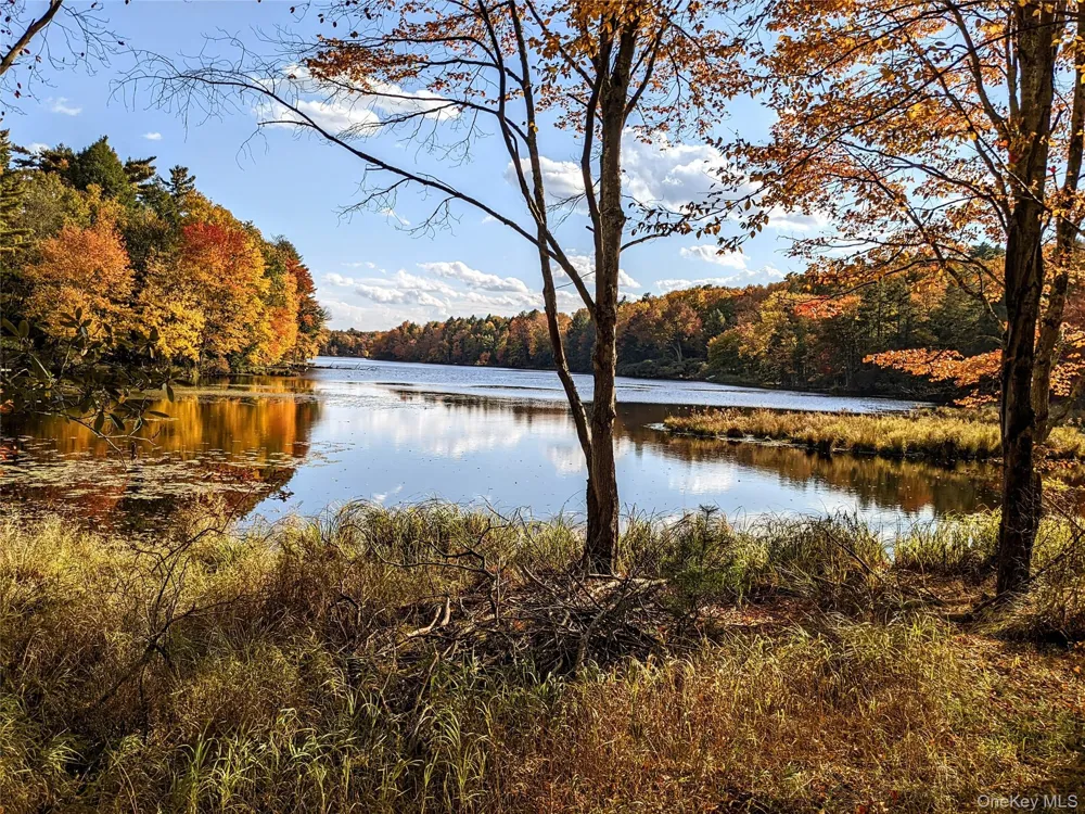 64 Cumberland Trail Smallwood, NY 12778