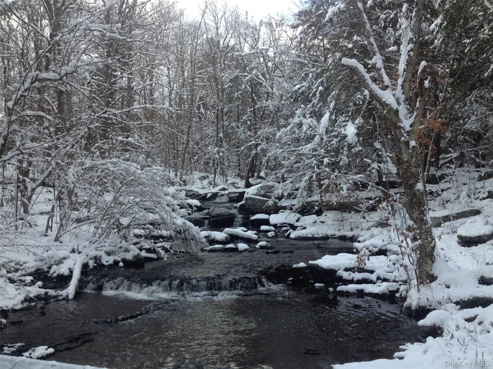 64 Cumberland Trail Smallwood, NY 12778