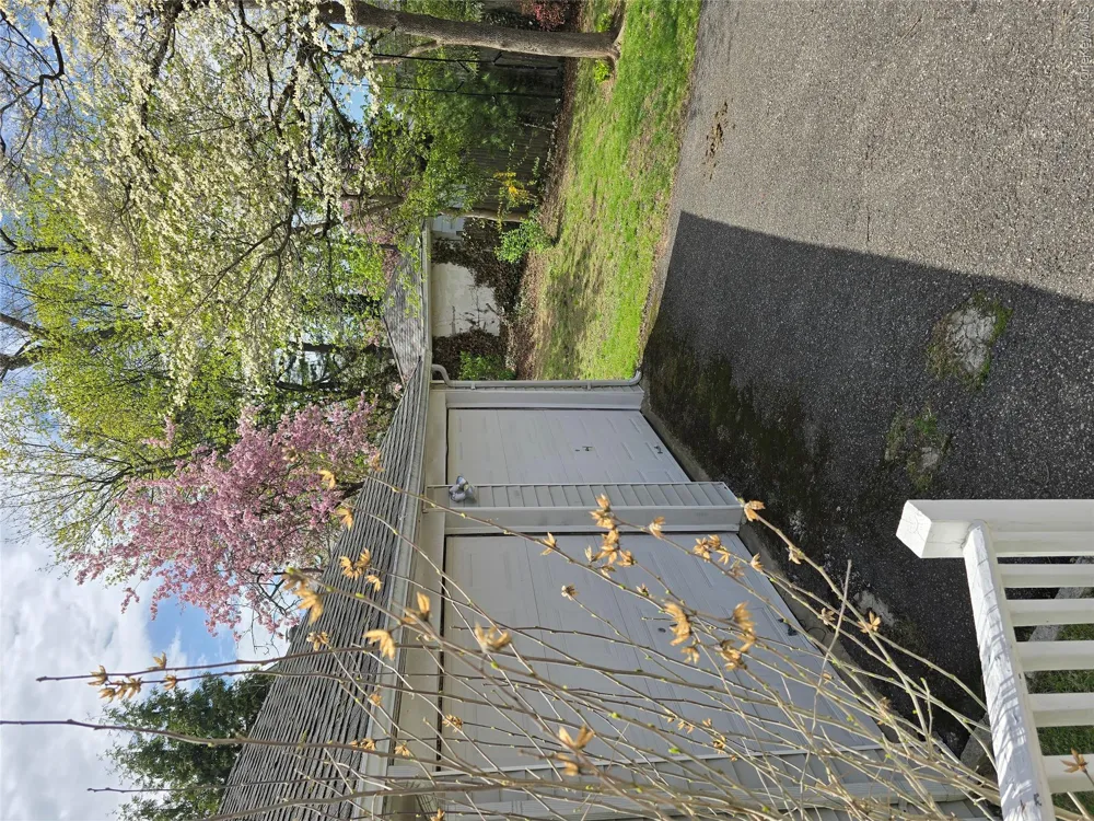15 Roosevelt Avenue Rye, NY 10580
