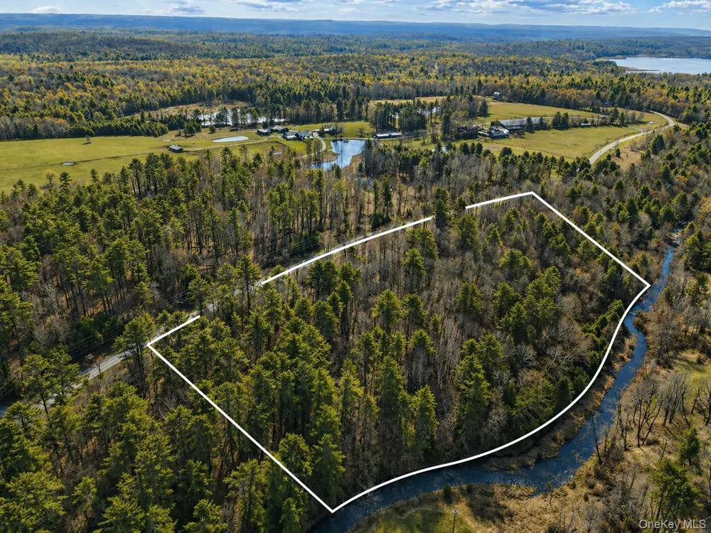 Chapin Trail White Lake, NY 12786