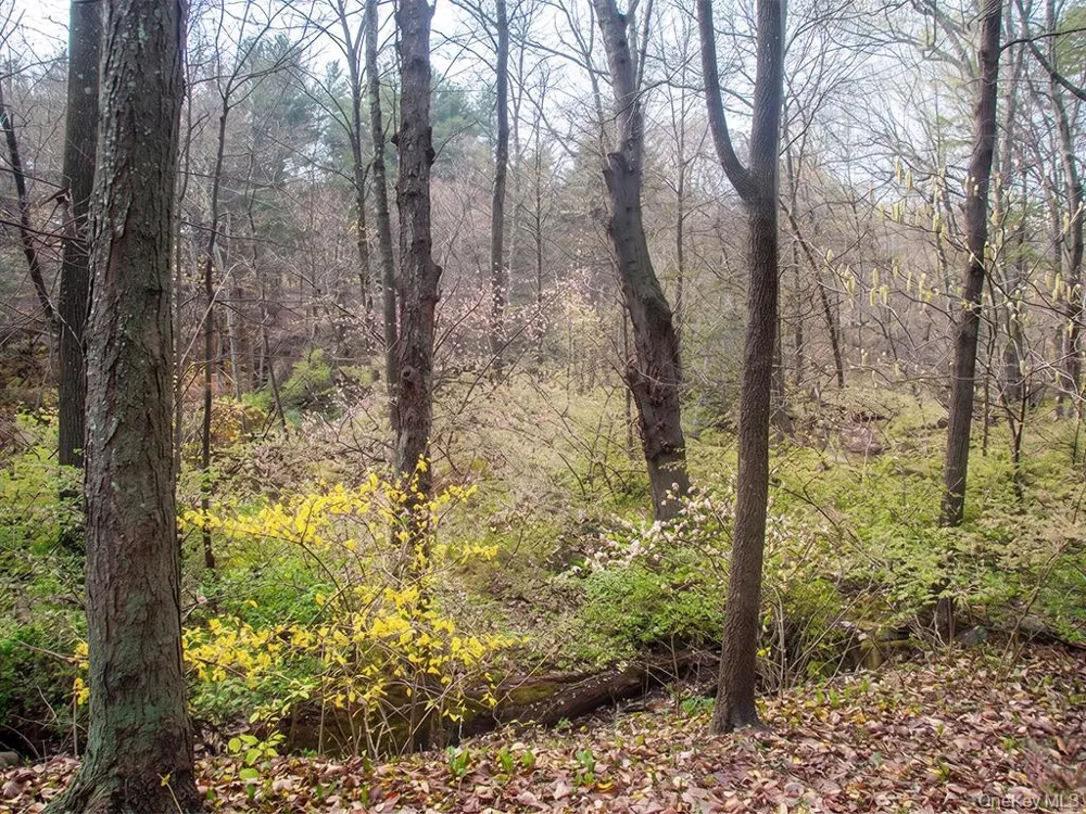 Chapin Trail White Lake, NY 12786