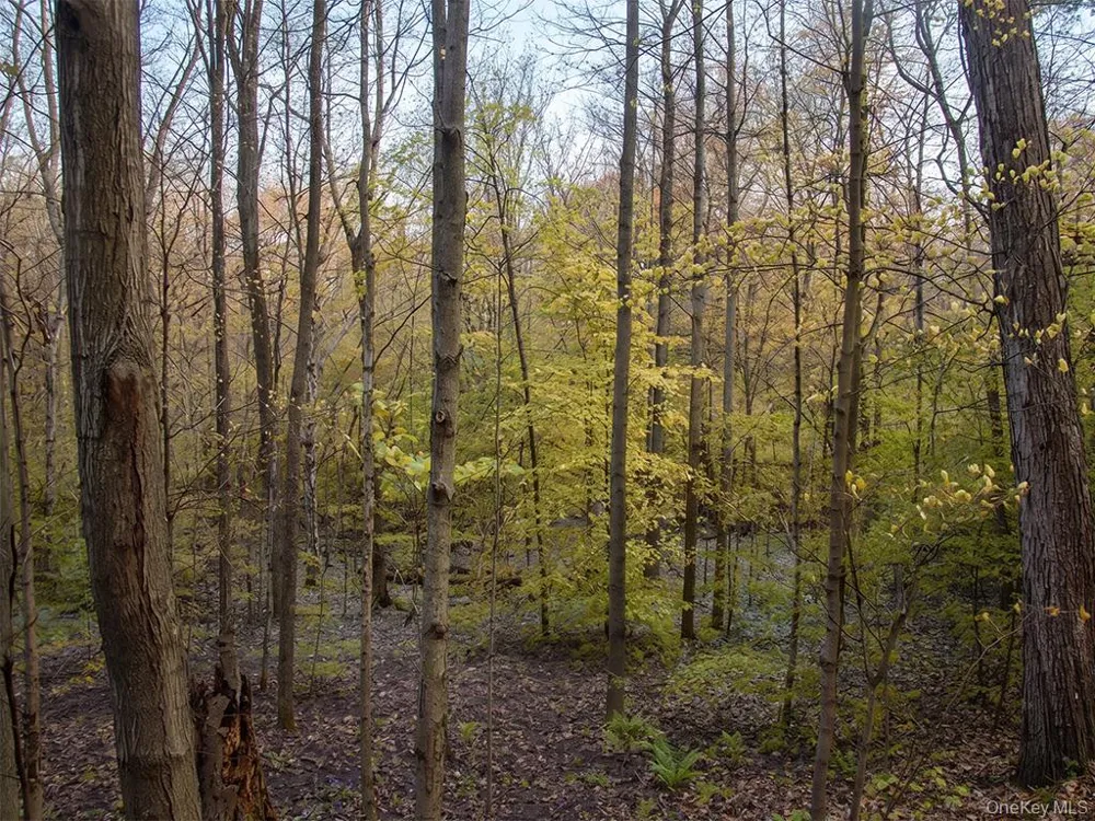 Chapin Trail White Lake, NY 12786