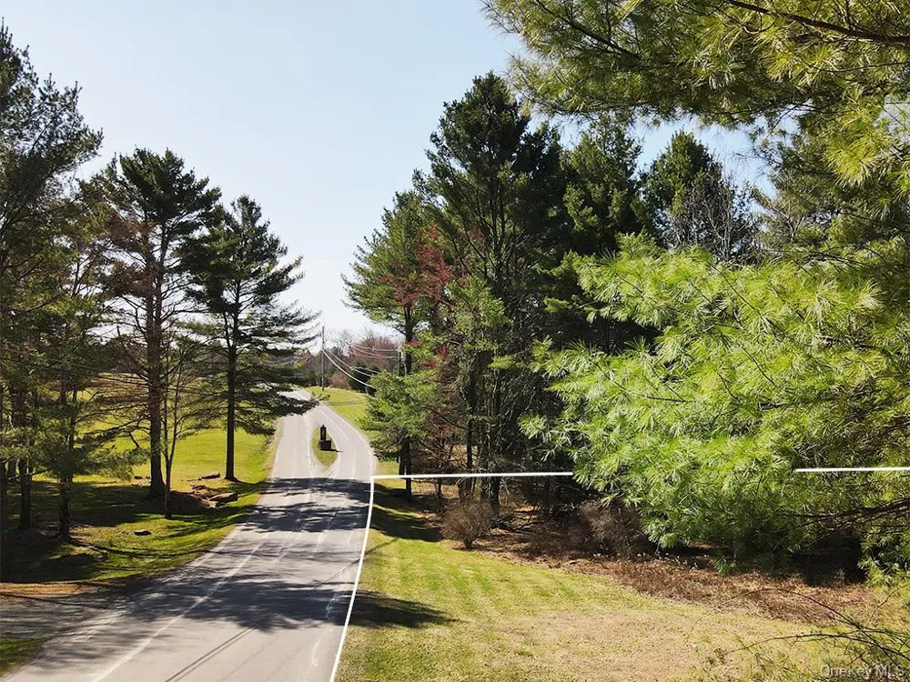 Chapin Trail White Lake, NY 12786