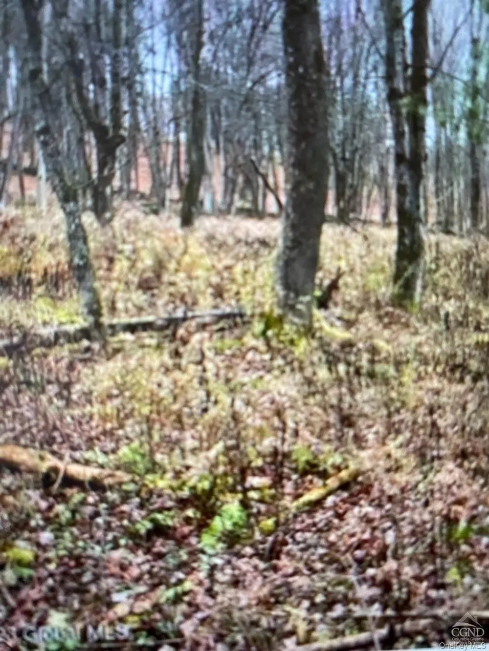 County Route 312 Call Listing Agent, NY 12045