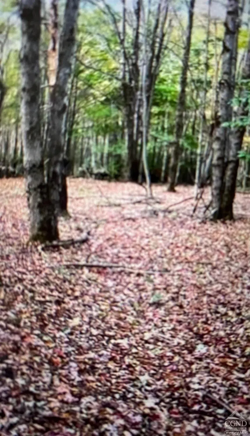County Route 312 Call Listing Agent, NY 12045