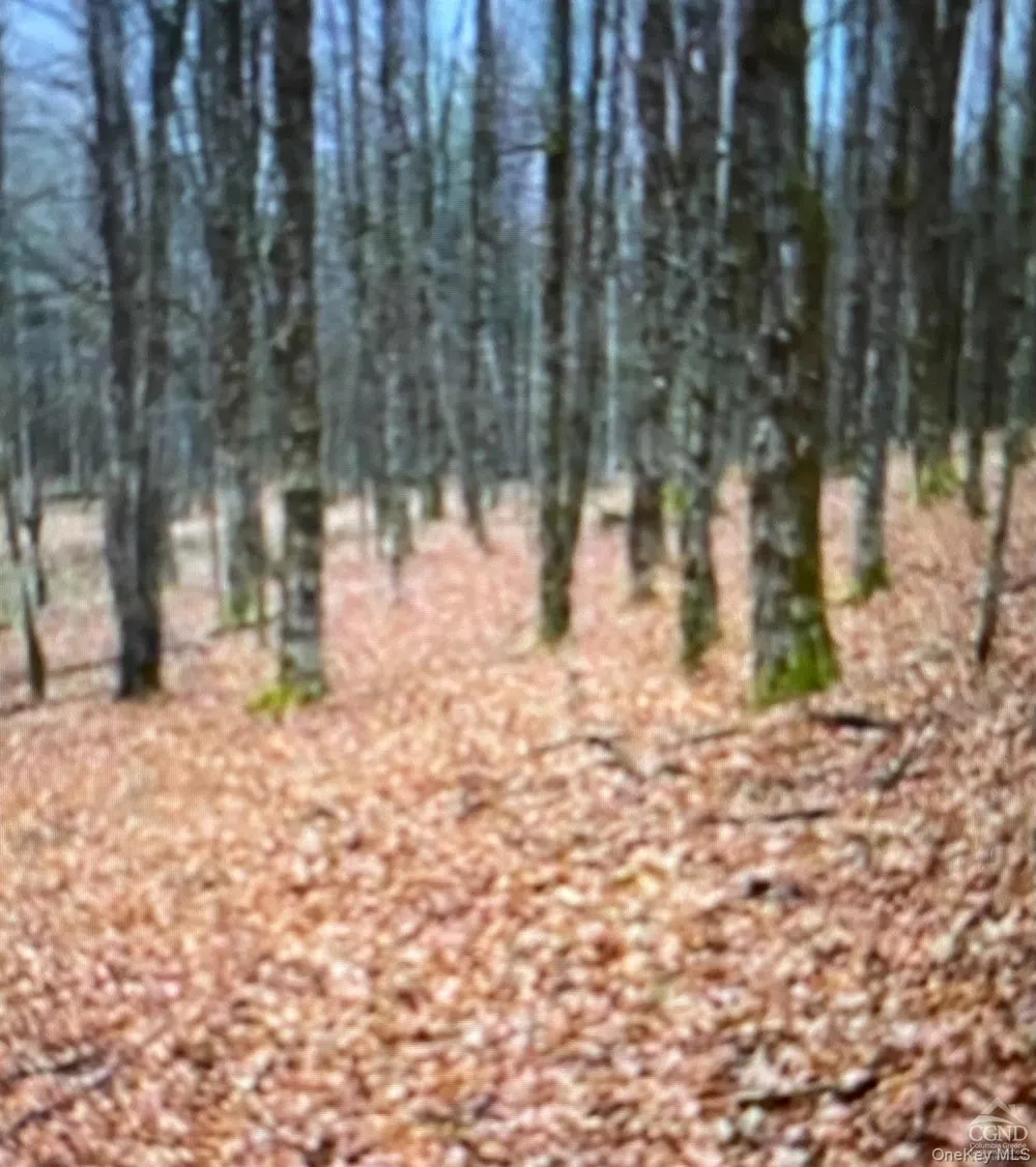 County Route 312 Call Listing Agent, NY 12045