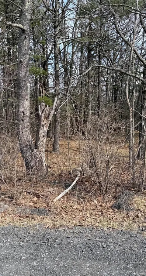 County Route 312