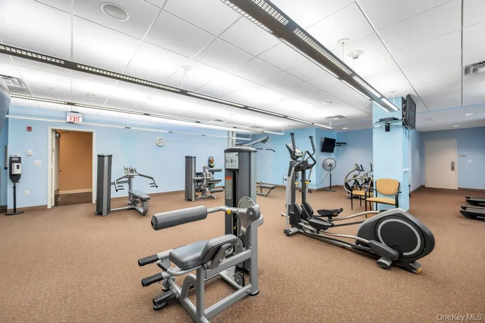 300 E Overlook #240 Port Washington, NY 11050