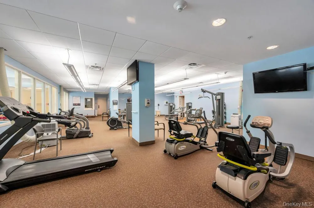 300 E Overlook #240 Port Washington, NY 11050