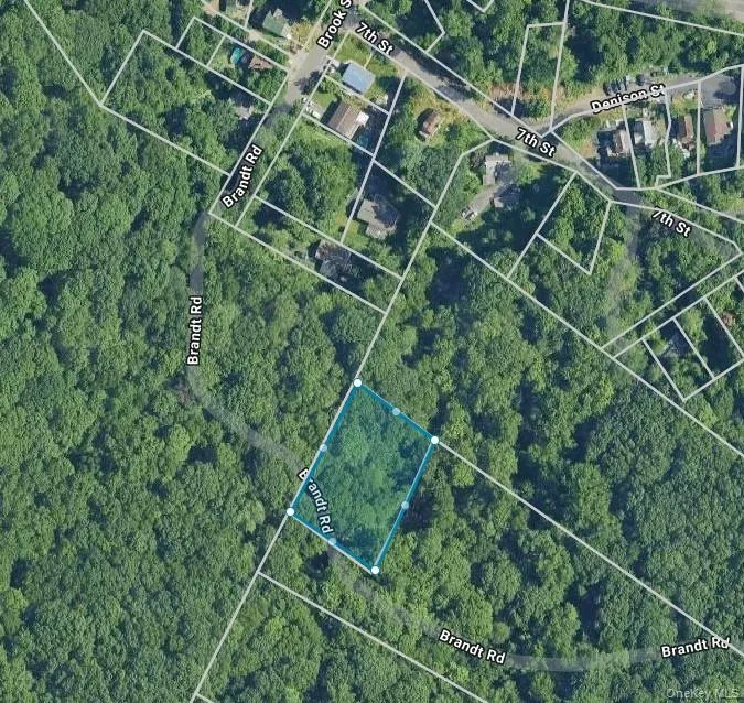 19 Brandt Road Hillburn, NY 10931