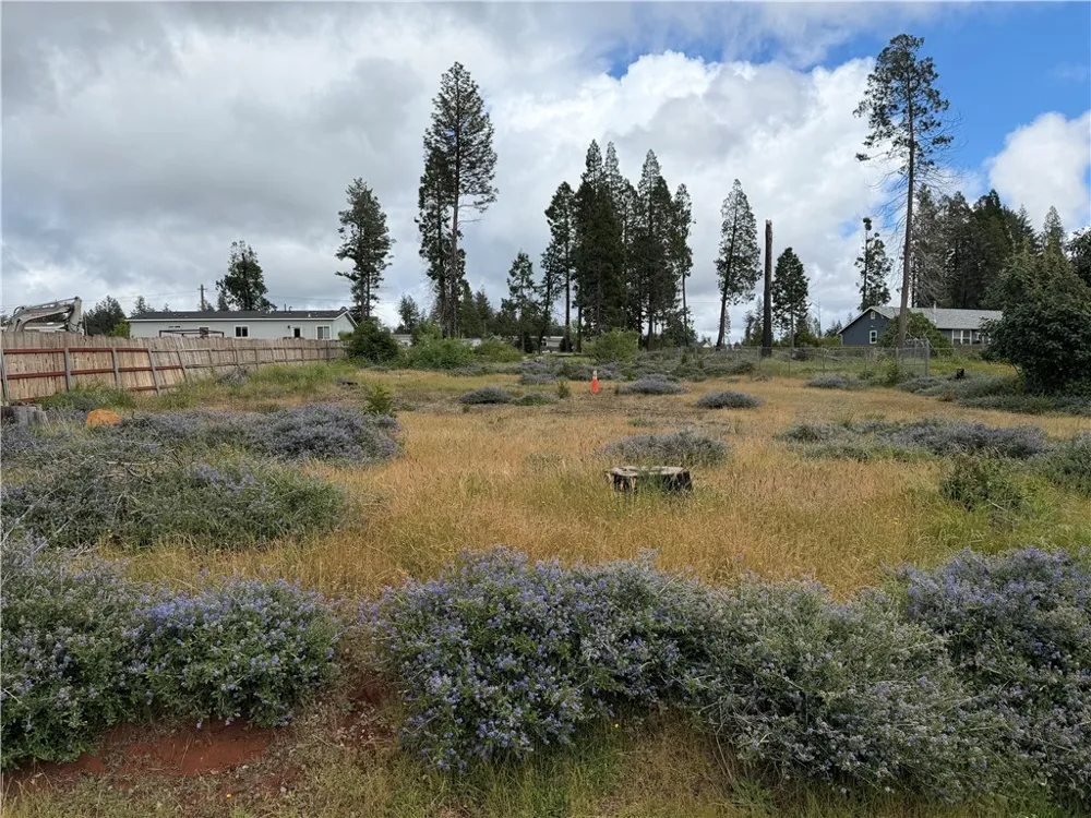 14110 Wingate Magalia, CA 95954