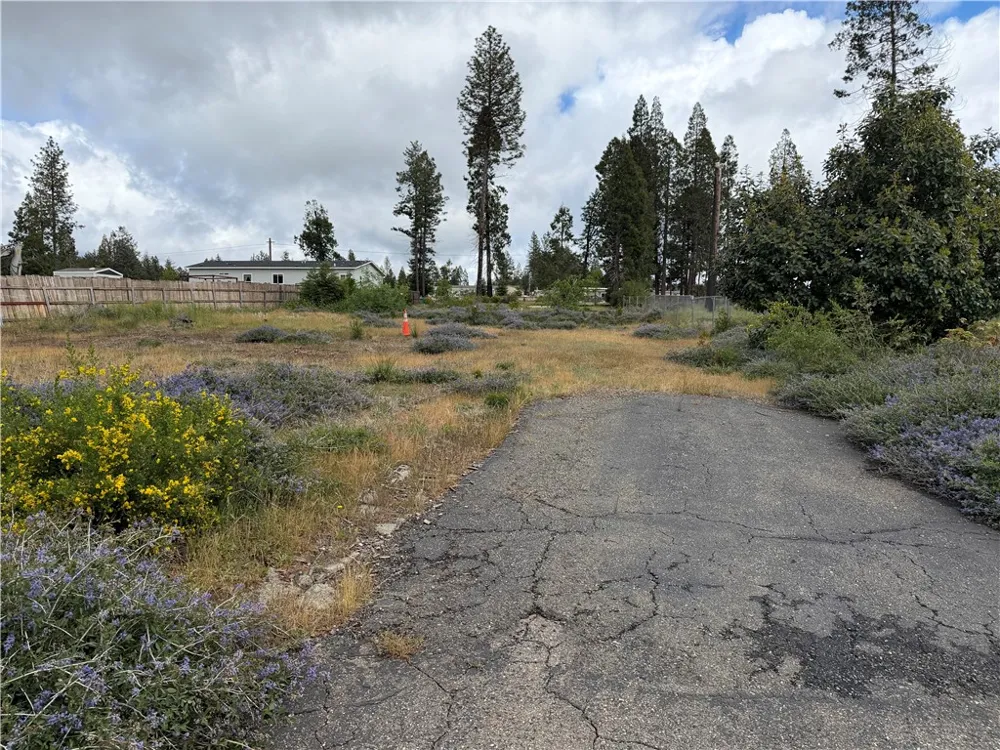 14110 Wingate Magalia, CA 95954
